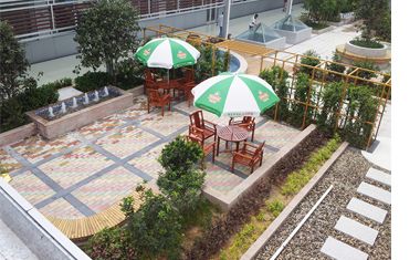 揭阳青岛啤酒厂空中花园景观工程|屋顶花园绿化工程|深圳市宏浩园林